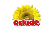 Orkide